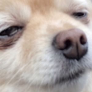 Meet your Posher, Edgar